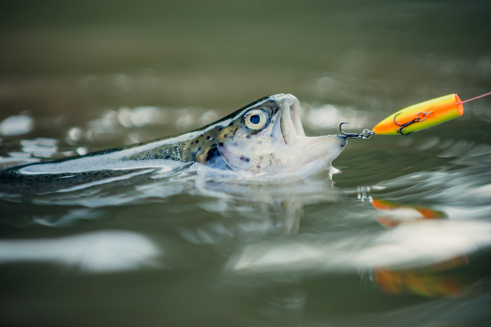 Battalion Bait Topwater Bass Fishing